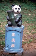 China (67 von 257).jpg